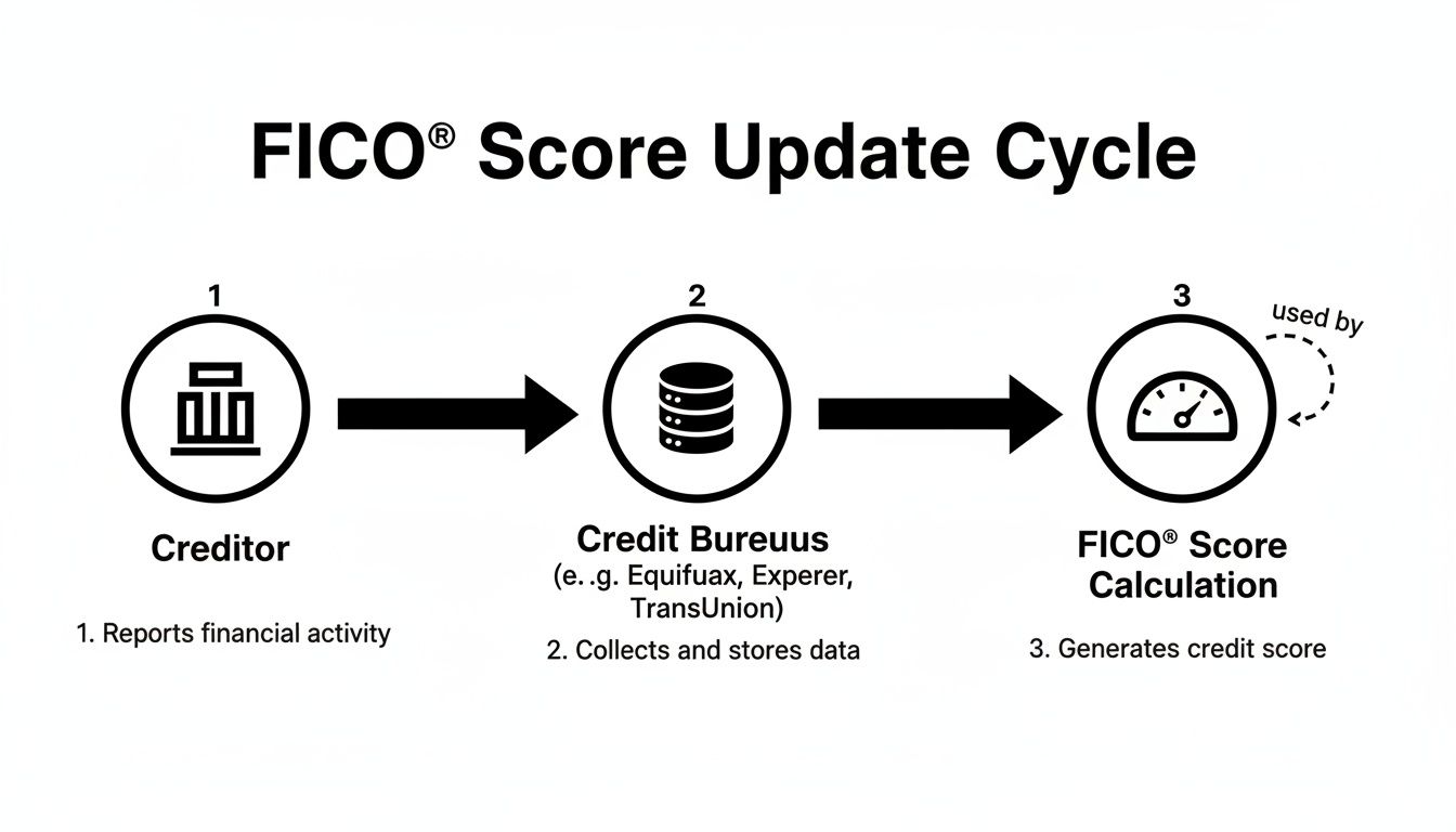 Flowchart showing the FICO® Score update cycle from creditor reporting to credit bureaus and score calculation.