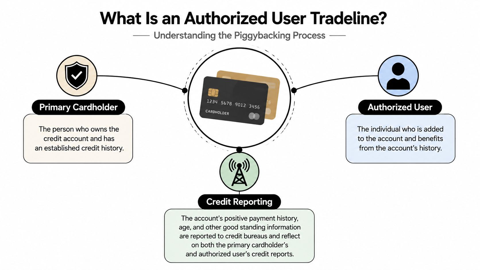 An infographic explaining how authorized user tradelines work with primary cardholders, authorized users, and credit reporting processes.